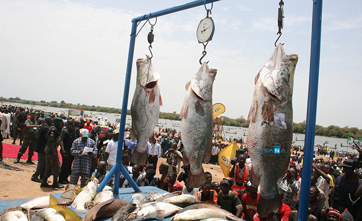 Argungu-du-lich-nigeria