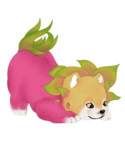 Dragon Fruit Dog là gì