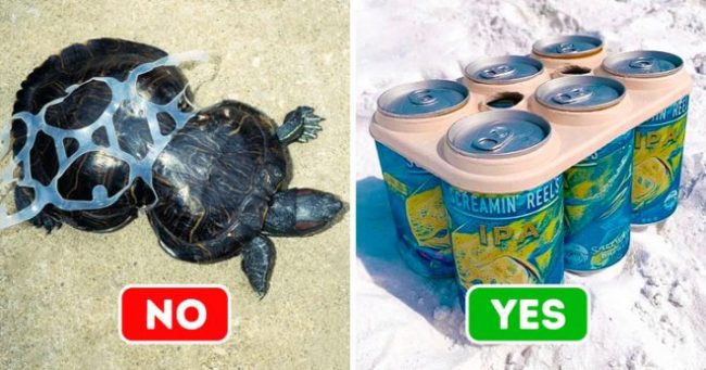 9 phát minh độc đáo cứu nguy đại dương khỏi ô nhiễm trầm trọng. 1
