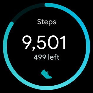 Biểu tượng bộ đếm bước mới gợi ý về tích hợp Fitbit.