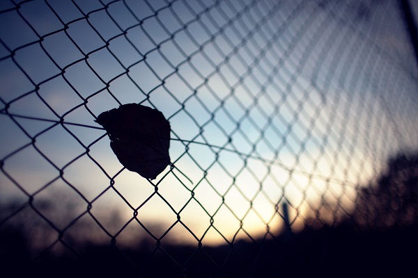 Lưới trời lồng lộng, tuy thưa mà khó lọt