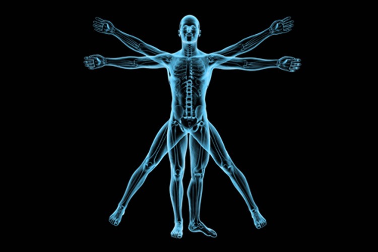 Kết quả hình ảnh cho medical body