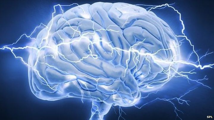 Kết quả hình ảnh cho bộ não hoạt động