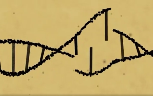Hình ảnh về gene. Ảnh: CNN.