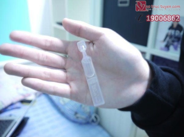 Câu chuyện cảm động có thật về chú chim sẻ mù bên bậu cửa