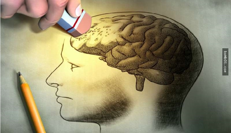 Trí tuệ, khả năng ghi nhớ sẽ bị giảm sút nếu não bộ không được sử dụng thường xuyên. (Ảnh: Prezi)