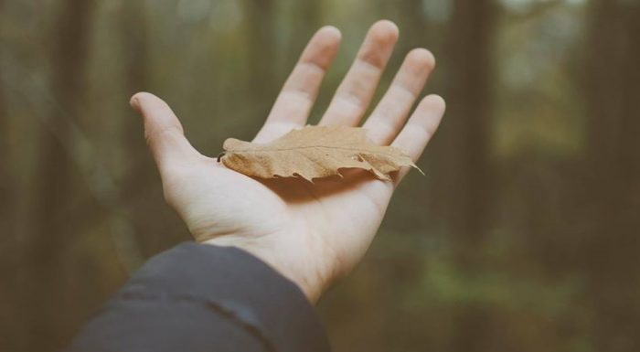 Hồng trần chính là đạo trường rộng lớn, tu hành đâu nhất thiết phải ở núi sâu? - ảnh 1