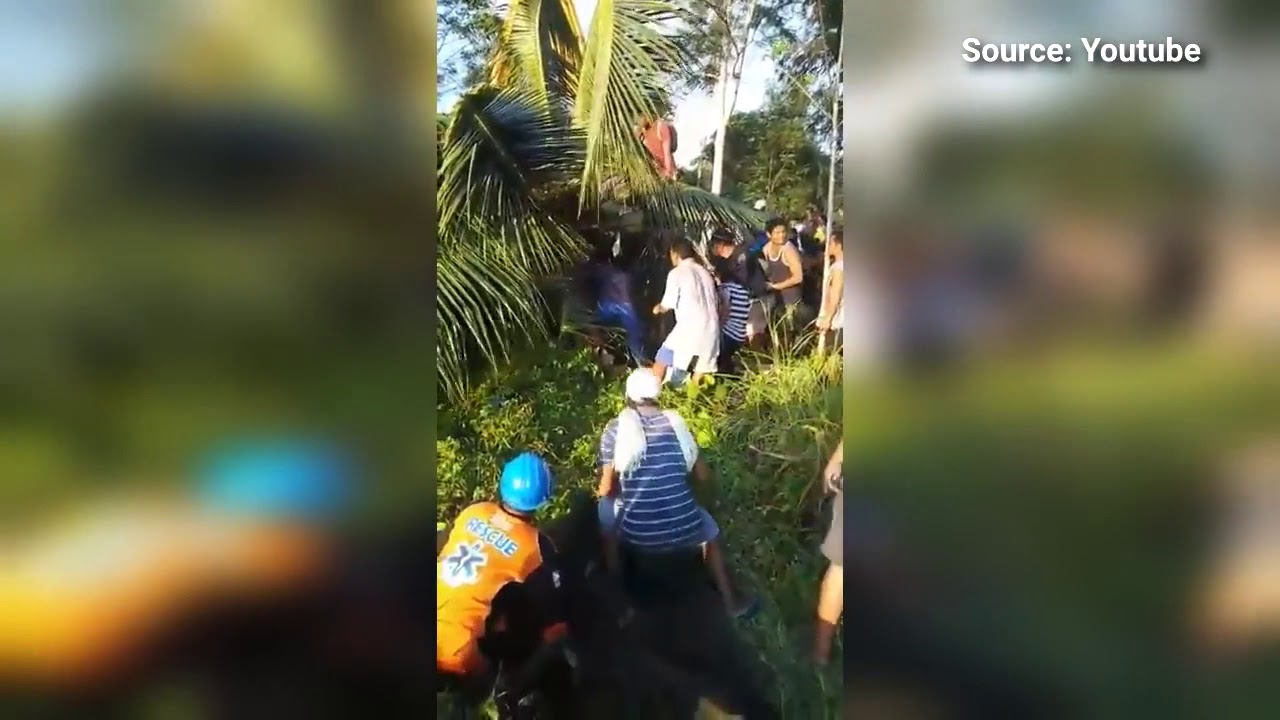 Làm 'tổ' trên cây suốt 3 năm không chịu xuống đất vì sợ kẻ thù truy sát - ảnh 2