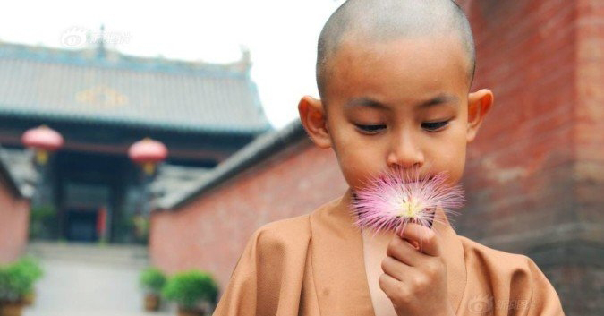 Lòng an định mới hiểu được vạn vật, tâm tĩnh lặng mới thấu được lòng người - ảnh 2