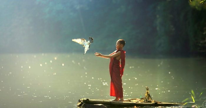 Lòng tốt luôn tuần hoàn: Trao gửi duyên lành, nhận về trái ngọt - ảnh 1