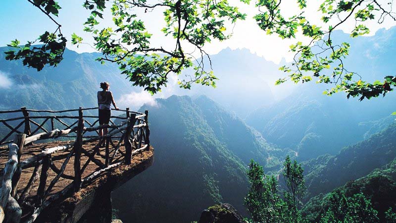 Nếu bạn đang cảm thấy quá mệt mỏi và bế tắc, bài viết này sẽ cho bạn động lực - ảnh 2