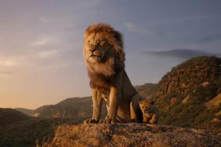 Nhà động vật học: Phim “The Lion King” mô tả hoàn toàn sai lầm vai trò sư tử đực trong thực tế - ảnh 1