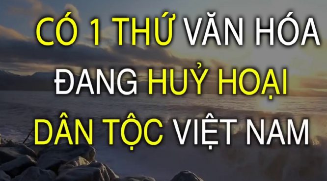 có một thứ văn hóa đang kìm hãm sức mạnh của người Việt.