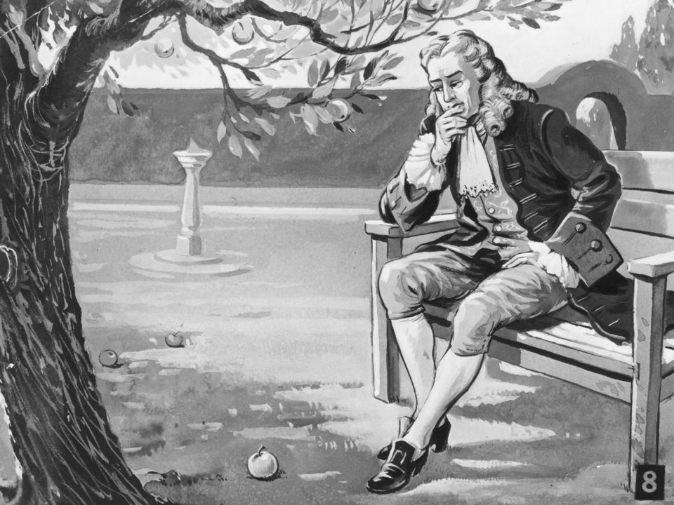 Quả táo rơi trúng đầu Isaac Newton và những lầm tưởng phổ biến