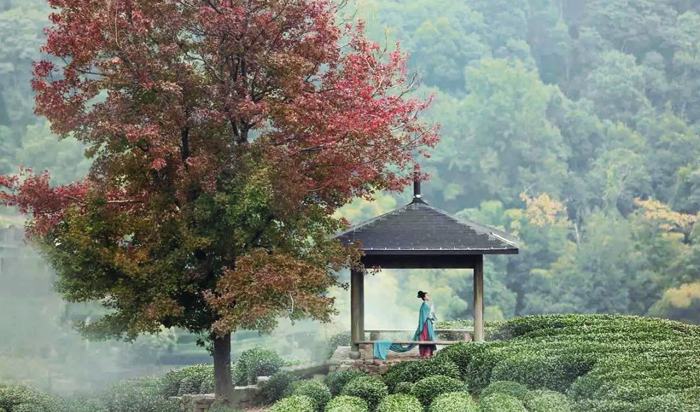 Mỗi người sinh ra trên đời này đều đã có một vị trí thích hợp dành cho bản thân, vị trí này từ sớm đã được chuẩn bị riêng cho bạn