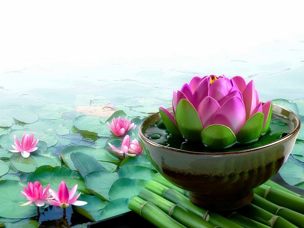 Giữa người với người, nói chuyện là một tu hành thực tại, lời hay ý đẹp là một loại thiện hành. (Ảnh: Internet)