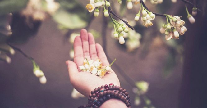 Xa xa là phong cảnh, trước mặt là nhân sinh, hãy sống vì hiện tại - H2