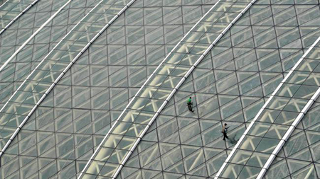 Các công nhân đang làm sạch mái vòm kính của New Century Global Center