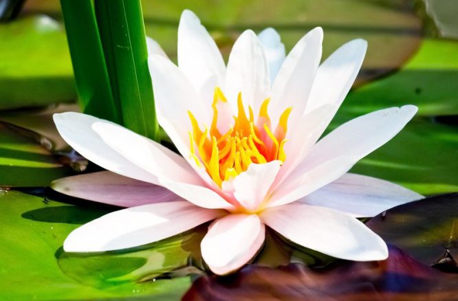 6 cách nhìn người chuẩn xác phi thường mà cổ nhân truyền lại - ảnh 2