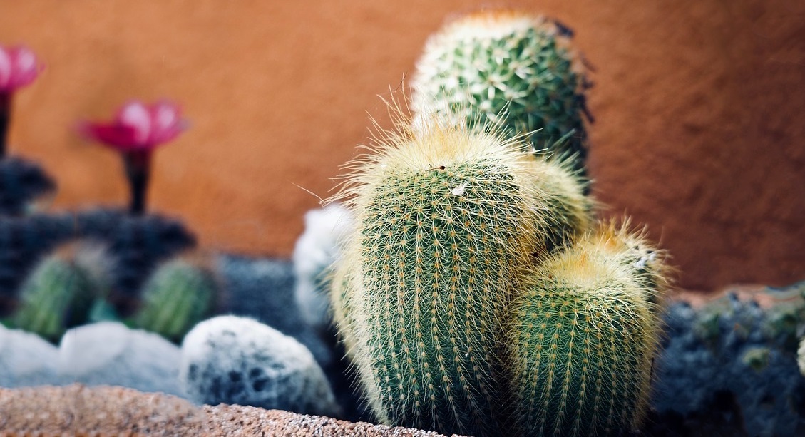 Gặp chuyện không trách cứ là sự tu dưỡng và trí tuệ cao nhất - ảnh 2