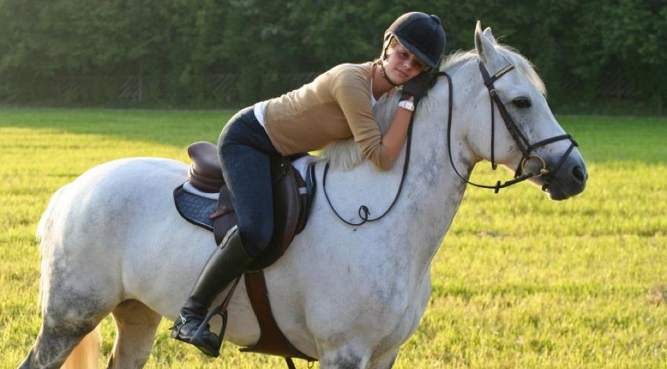 Nghiên cứu cho thấy ngựa có khả năng ghi nhớ chính xác cảm xúc con người