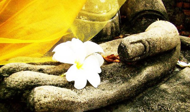 Đạo nghĩa vợ chồng: Muốn bên nhau dài lâu, hãy dùng tâm chứ đừng dùng kế - ảnh 2