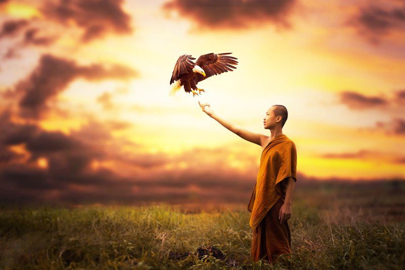 Đạo lý nhân sinh: Dùng bốn lạng đánh bạt ngàn cân - ảnh 2