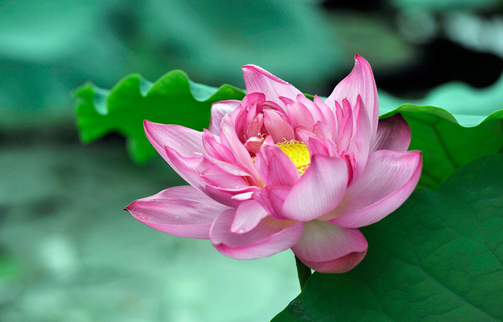 Đừng nghĩ mình cao quý mà lên mặt, cảm giác thân phận là điều tối kỵ nhất khi làm người - ảnh 2