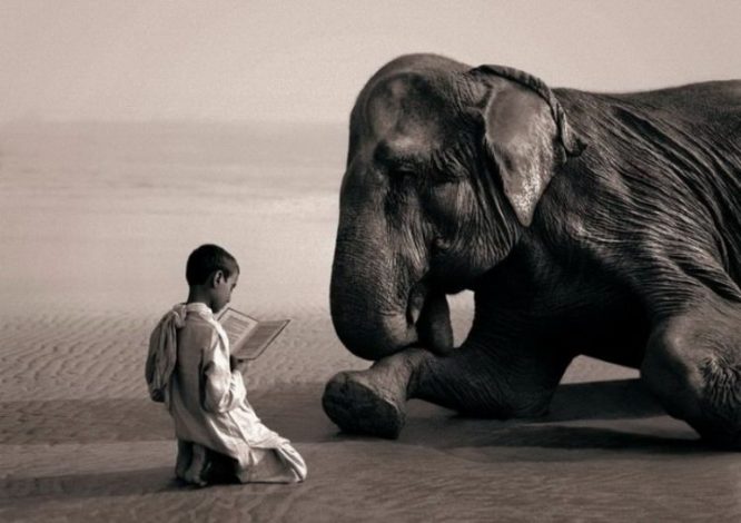 "Hạ mình" là nghệ thuật của nhân sinh, người biết hạ mình mới là thông tuệ - ảnh 1