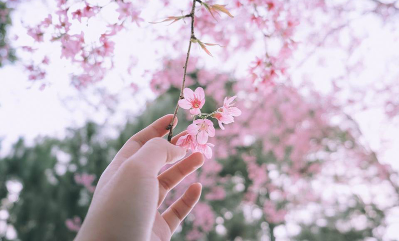 Duyên phận không quan trọng dài ngắn, đến hay đi hãy cứ để tự nhiên - ảnh 2