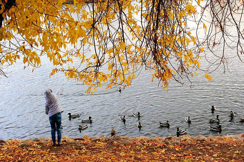 người biết đủ thì mới tìm thấy hạnh phúc, đa số mọi người đều đồng ý với quan điểm này, nhưng trong cuộc sống thực tế có bao nhiêu người có thể làm được như vậy?