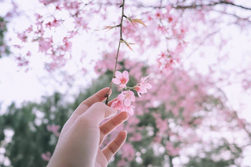 Không ai biết được trạm dừng kế tiếp sẽ cùng ai ly biệt, cùng ai tương phùng? - ảnh 2
