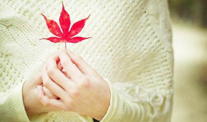 Không tham lam chính là bố thí, đoạn ác chính là làm việc thiện... - ảnh 1