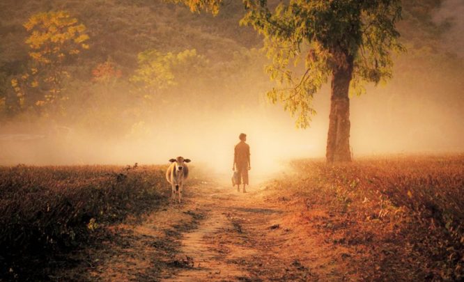 Nỗ lực đến bất lực, gắng gượng đến đáng thương, xã hội này tàn khốc đến vậy sao?.2