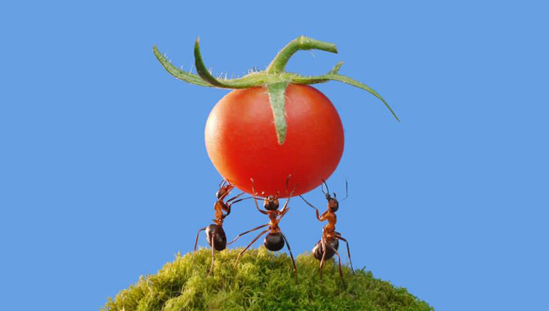 Lĩnh hội được 5 đạo lý này, hàng triệu người có thể sẽ đổi vận - ảnh 2