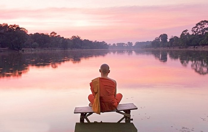 Thuận theo tự nhiên mới là cảnh giới cao nhất của trí tuệ - ảnh 2