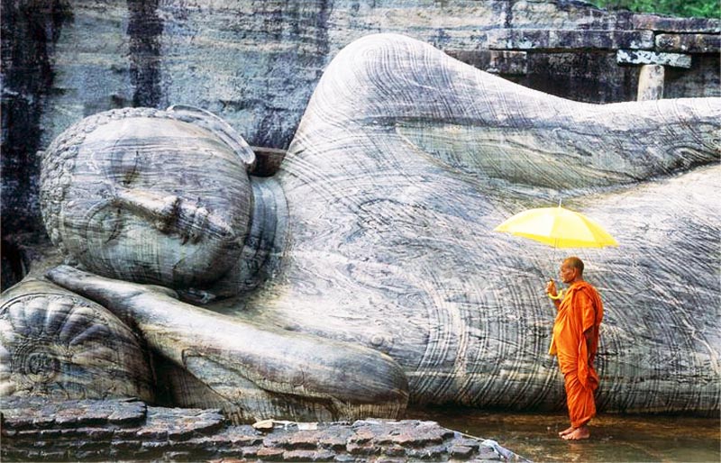 Trí tuệ cao nhất là lương thiện, khôn ngoan lớn nhất là phẩm hạnh - ảnh 1