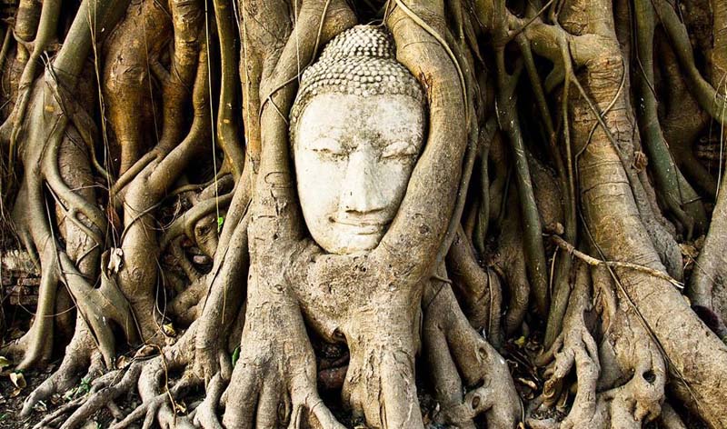 Trí tuệ cao nhất là lương thiện, khôn ngoan lớn nhất là phẩm hạnh - ảnh 2