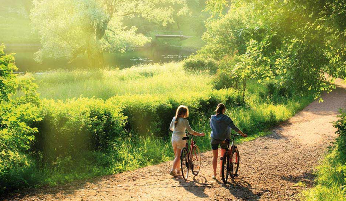 các mối quan hệ phải được cắt tỉa, dọn dẹp thường xuyên, nếu cứ để chúng ngổn ngang bừa bãi, chỉ đem lại cho chúng ta thêm nhiều gánh nặng và đau khổ.