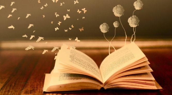Từ giỏ đựng than ông dạy cháu bài học quý giá của việc đọc sách