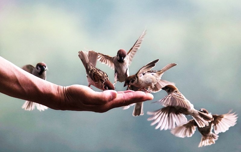 Con người mất đi lương tâm sẽ khó kiếm lại