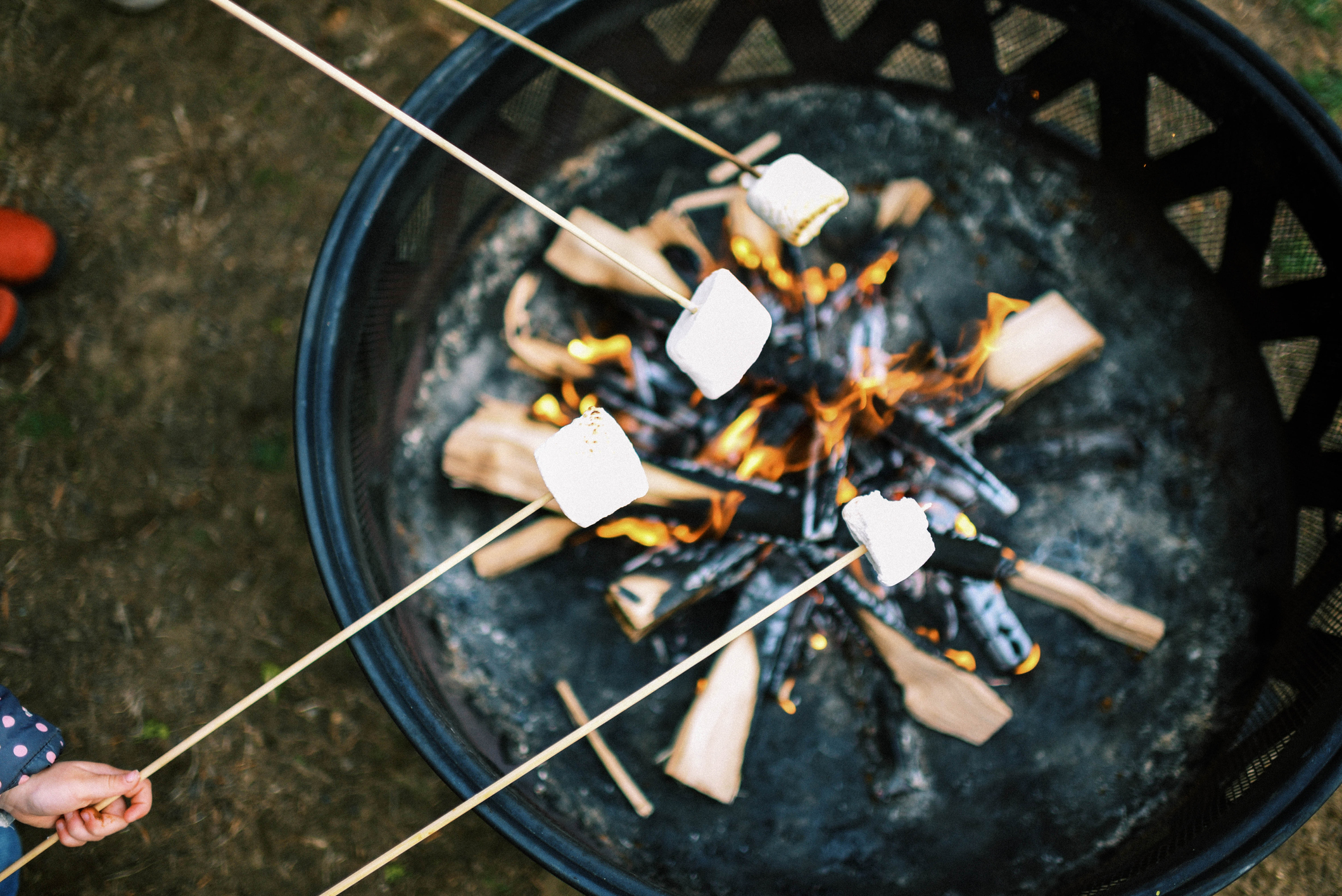 chim xem góc đốt lửa trại và nướng kẹo dẻo cho s'mores