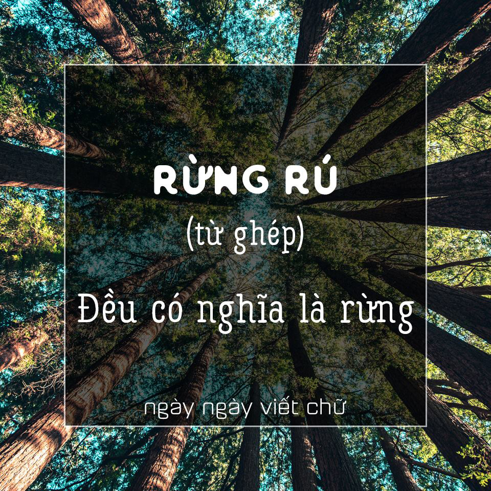 Ảnh qua facebook.