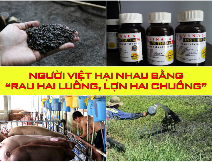 Hiện tượng xã hội: Bàng quan với sinh mạng con người - ảnh 1