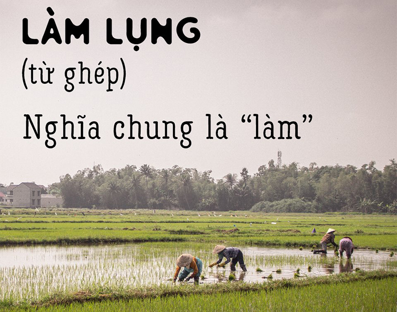 Ảnh qua facebook.