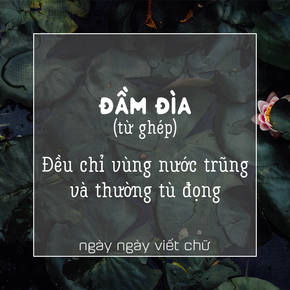 Ảnh qua facebook.