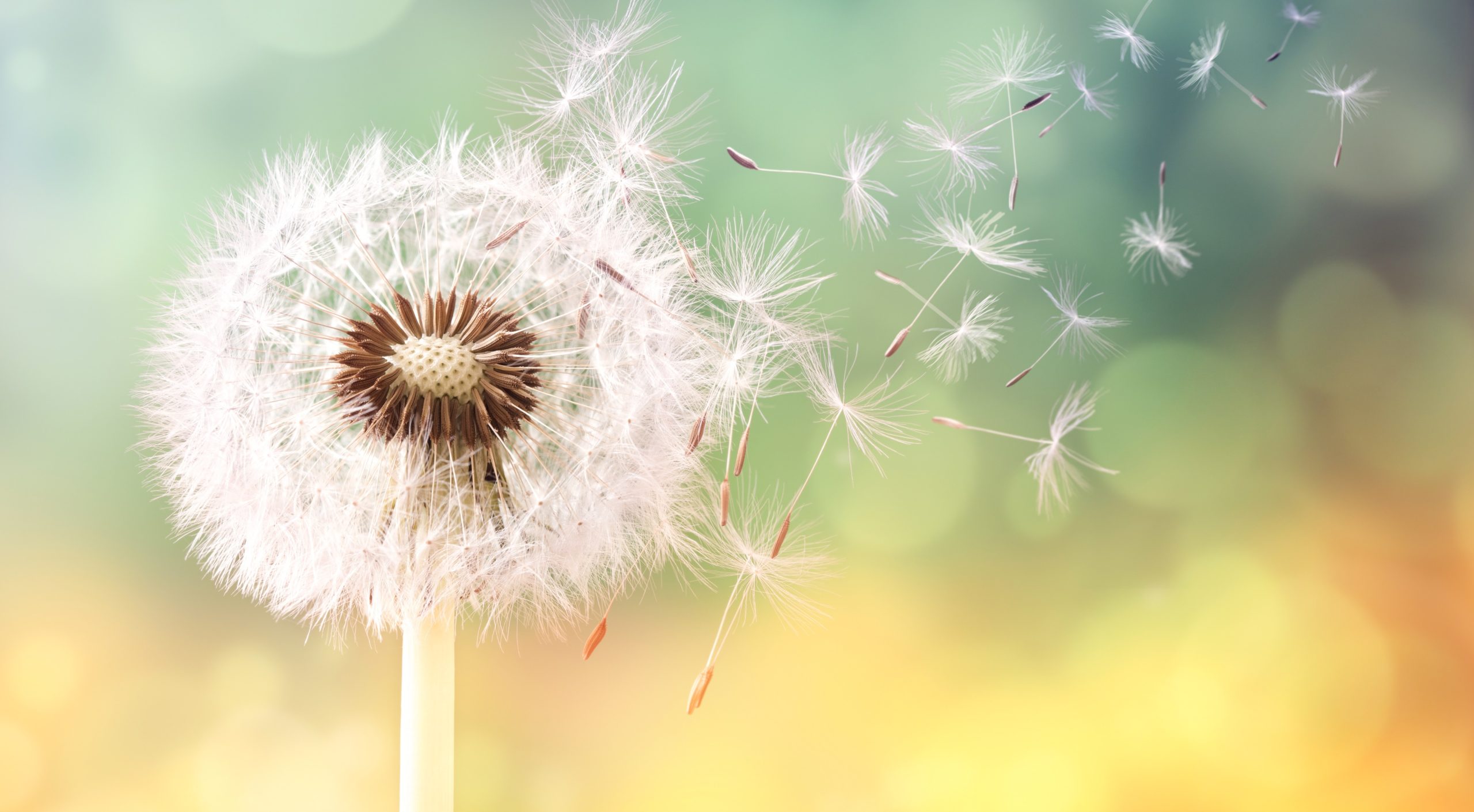 Tiểu thuyết: Có một thứ tình yêu “cố ý” nhưng lại nói thành “ngẫu nhiên”