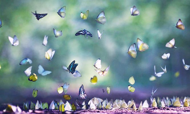 18 câu đạo lý nhân sinh có tác động vượt trên cả phong thủy.3