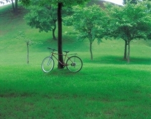1106060035552223--ss.jpg