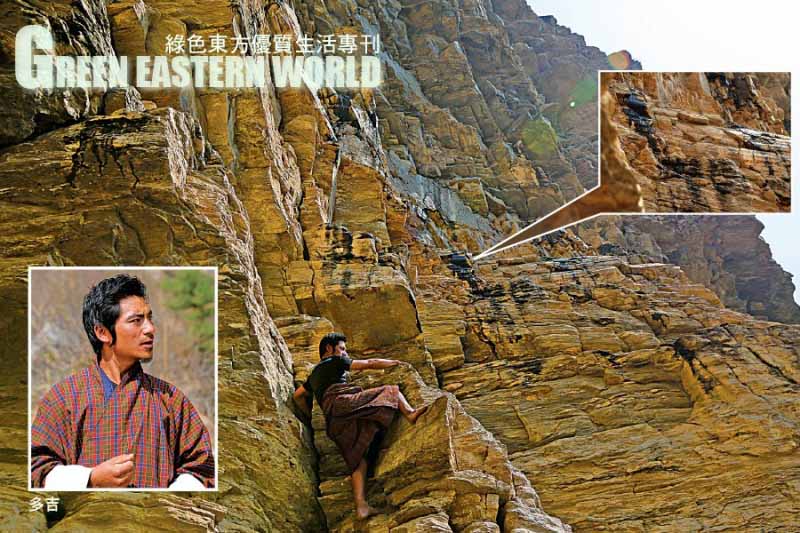 Hỉ lai chi - Linh dược nơi đất Phật Bhutan để cứu chúng sinh trong thời mạt pháp - ảnh 3